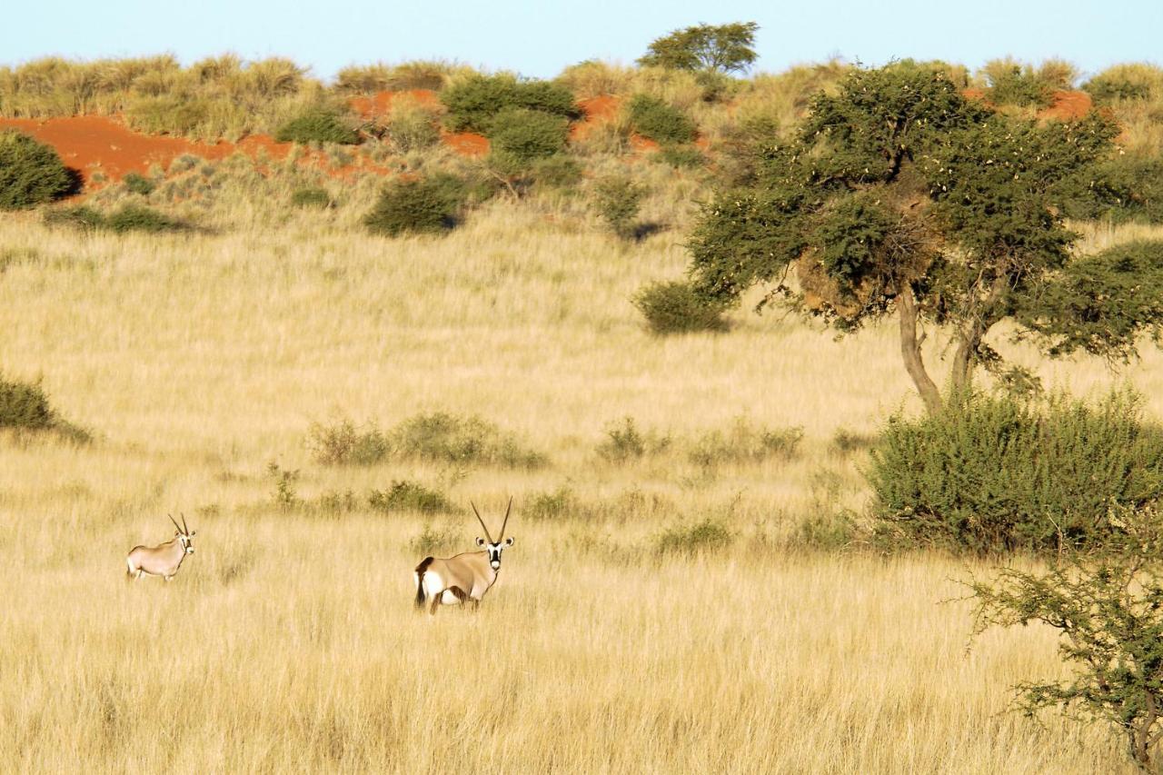 Kalahari Anib Camping2Go Mariental Buitenkant foto
